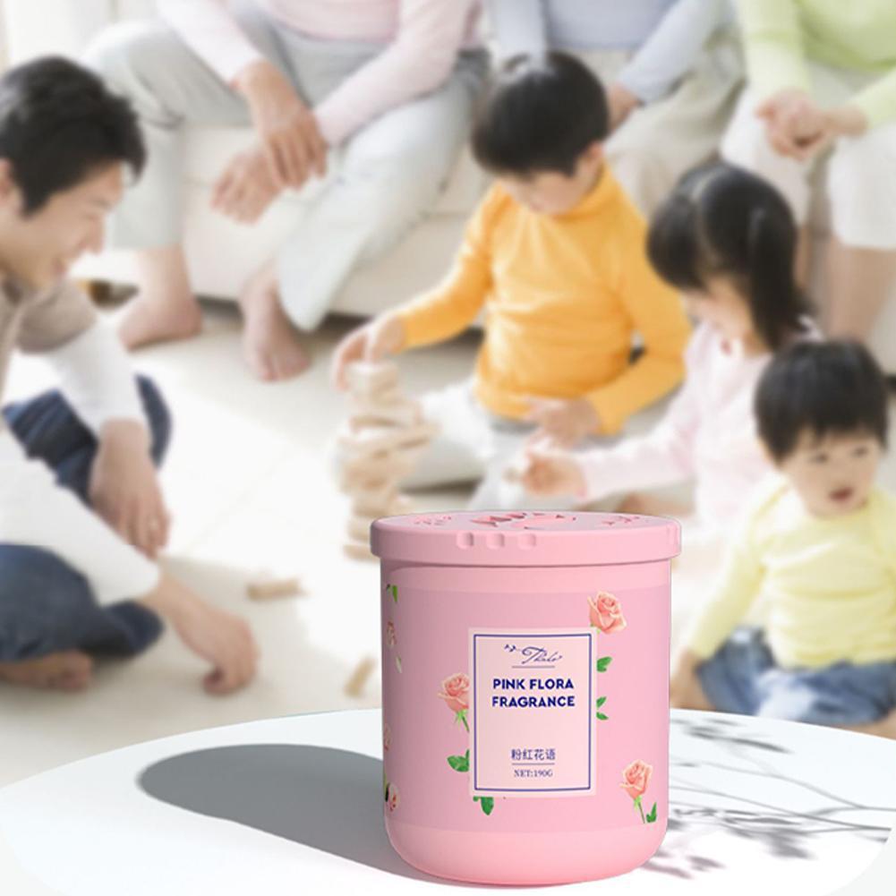 공기 청정제 천연 홈 플랜트 무해한 인체 실내 지속적인 - Home Fragrance Logo 리뷰 및 가격